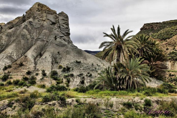 Alojamiento Las Dunas Bajo Tabernas Exterior foto